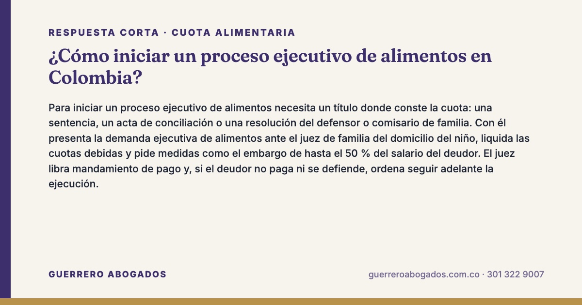 proceso ejecutivo de alimentos – respuesta corta